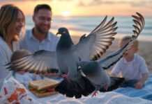 Erase Unwanted Objects From Photos With These Magic Apps Alt Text: A slightly blurred photorealistic image of a family picnic on a sunset beach, disrupted by a rogue pigeon mid-flap stealing a sandwich, with a faded tattoo of an ex's initials on a sleeve and a crumpled fast-food wrapper tumbling across the sand, featuring glitchy digital artifacts.